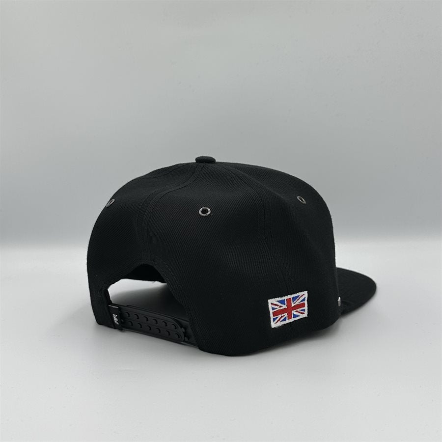 PANAVISION TRUCKER CAP