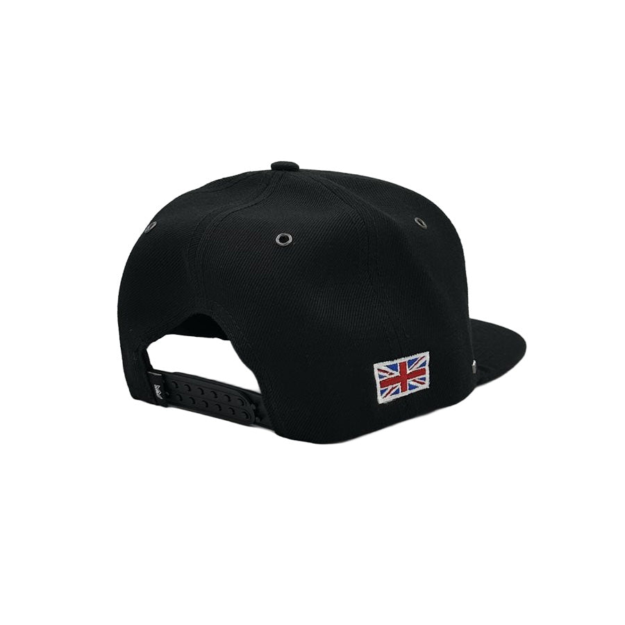 PANAVISION TRUCKER CAP