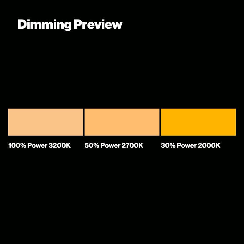 GEL COMPACT ROLL - 204 FULL C.T. ORANGE