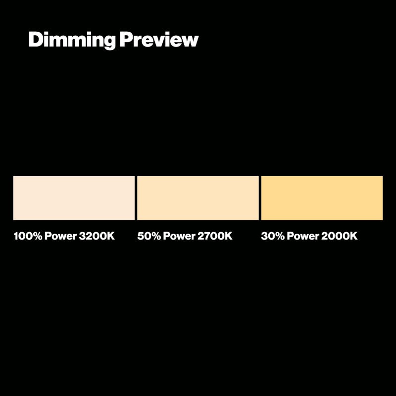 GEL COMPACT ROLL - 206 QUARTER C.T. ORANGE