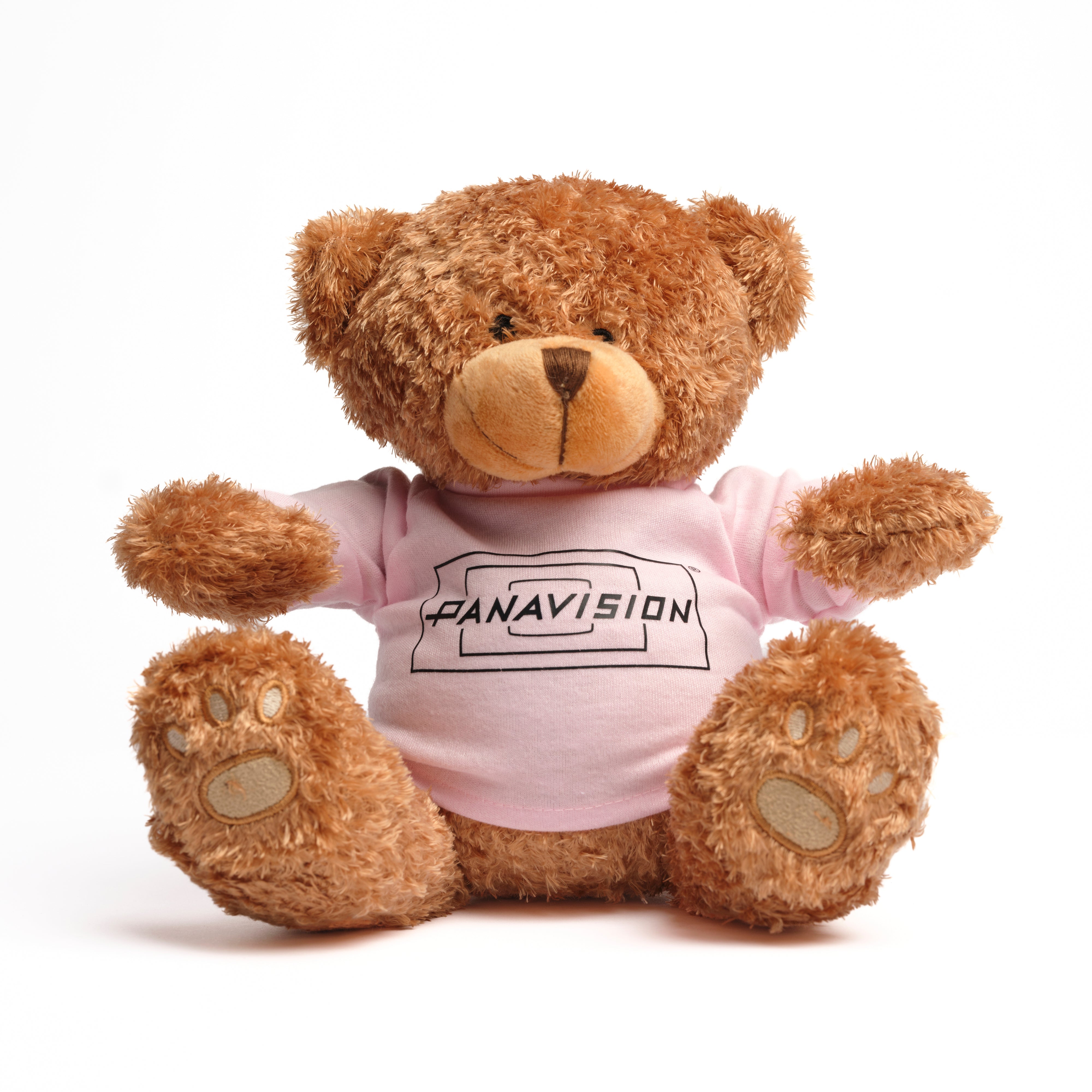 PANAVISION TEDDY BEAR