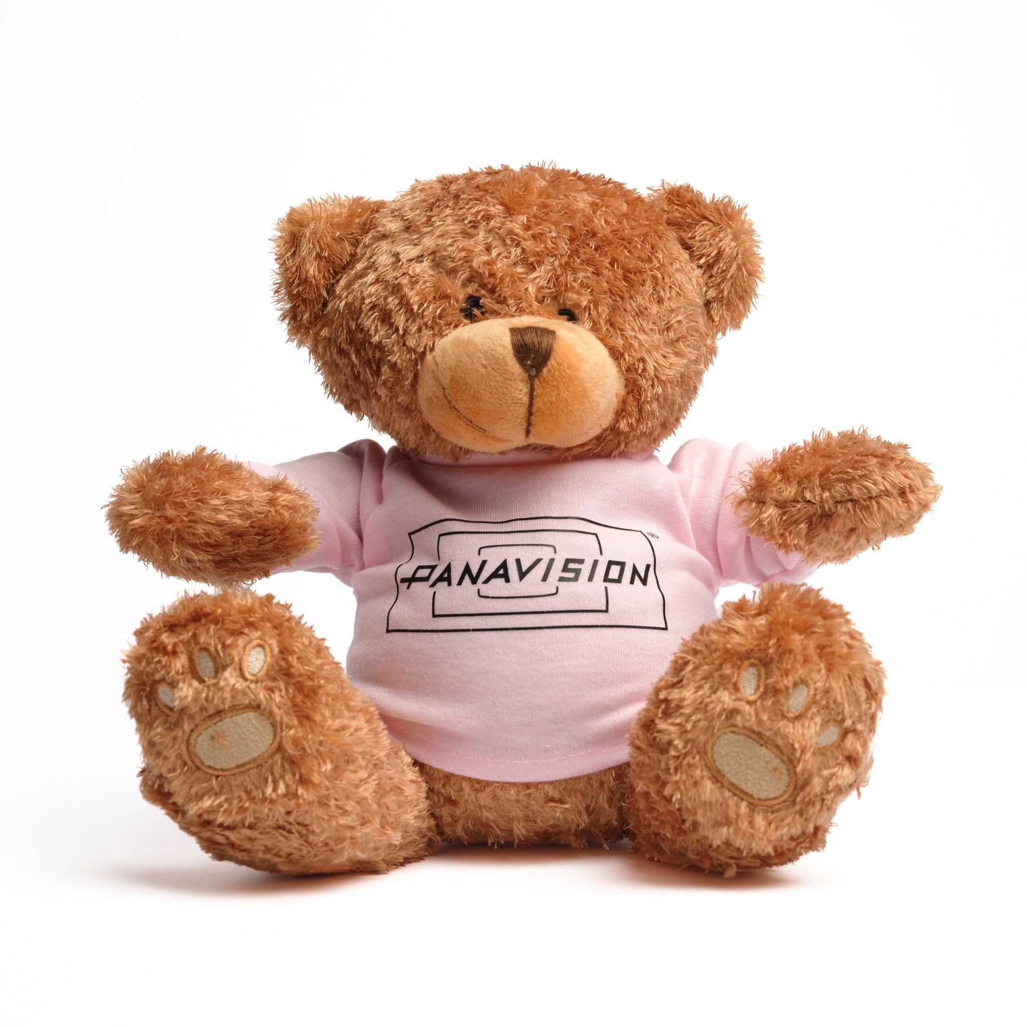 PANAVISION TEDDY BEAR
