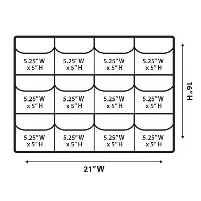CAMERA ESSENTIALS PELI LID ORGANISER - 1600