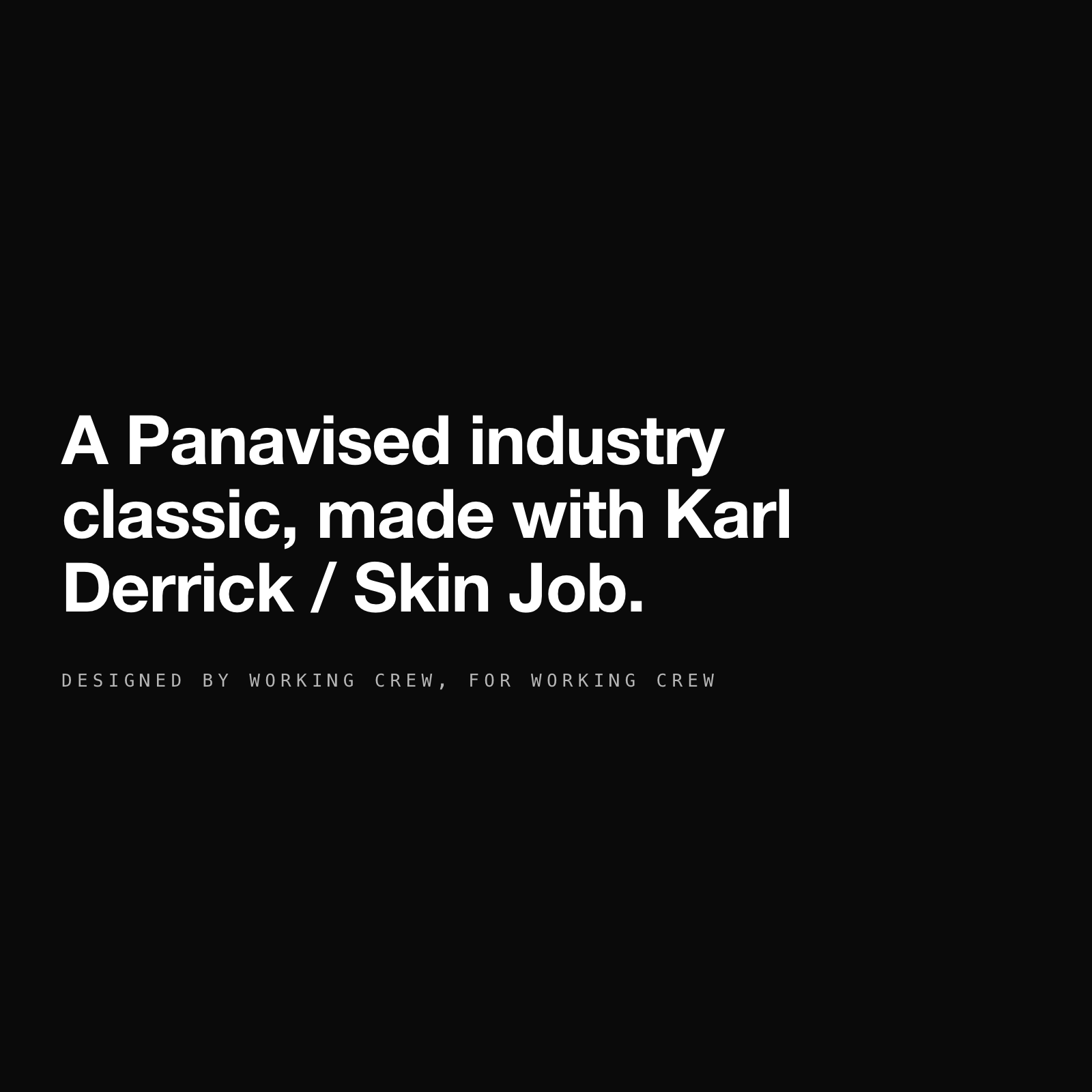 PANAVISION LEATHER LOADERS POUCH - LARGE