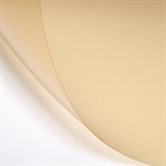 GEL COMPACT ROLL - 206 QUARTER C.T. ORANGE