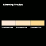 GEL COMPACT ROLL - 206 QUARTER C.T. ORANGE